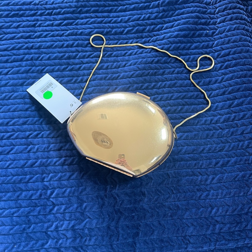 Zara Gold Wristlet with Metallic Frame